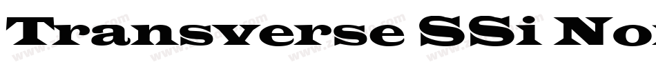 Transverse SSi Normal字体转换